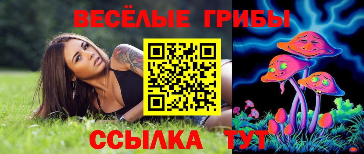 наркота  Вход с VPN  Реж  Псилоцибиновые грибы ЛСД 