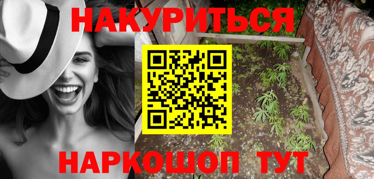 Бошки Шишки Amnesia  Вход с VPN  Реж  Конопля конопля  Канабис ГИДРОПОН  Бошки Шишки сатива 